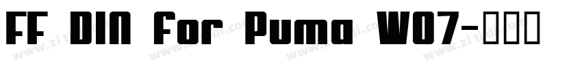 FF DIN for Puma W07字体转换